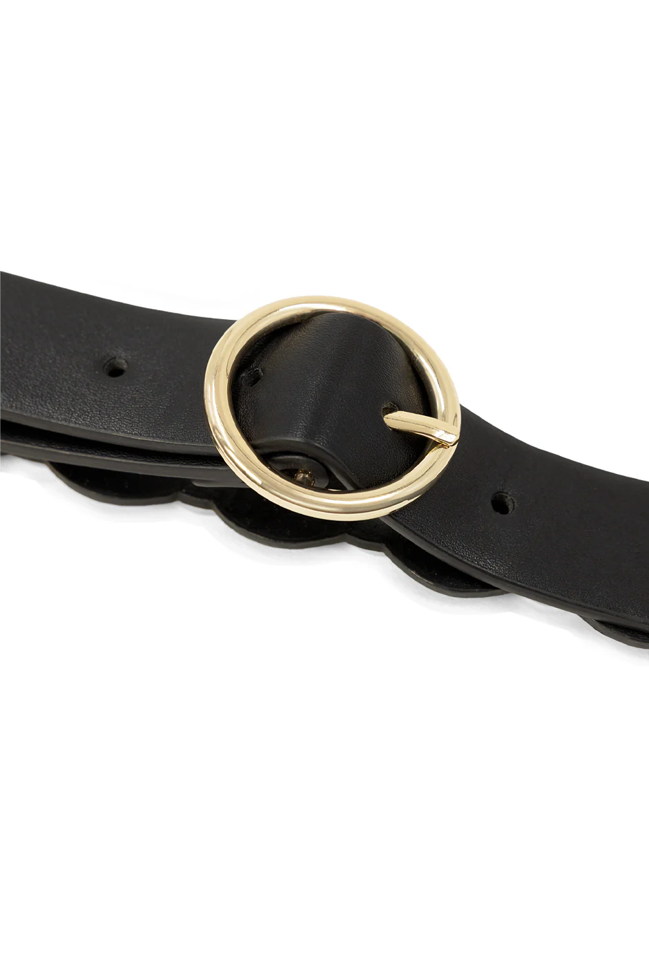 Cinturón Golden Black - Image 3
